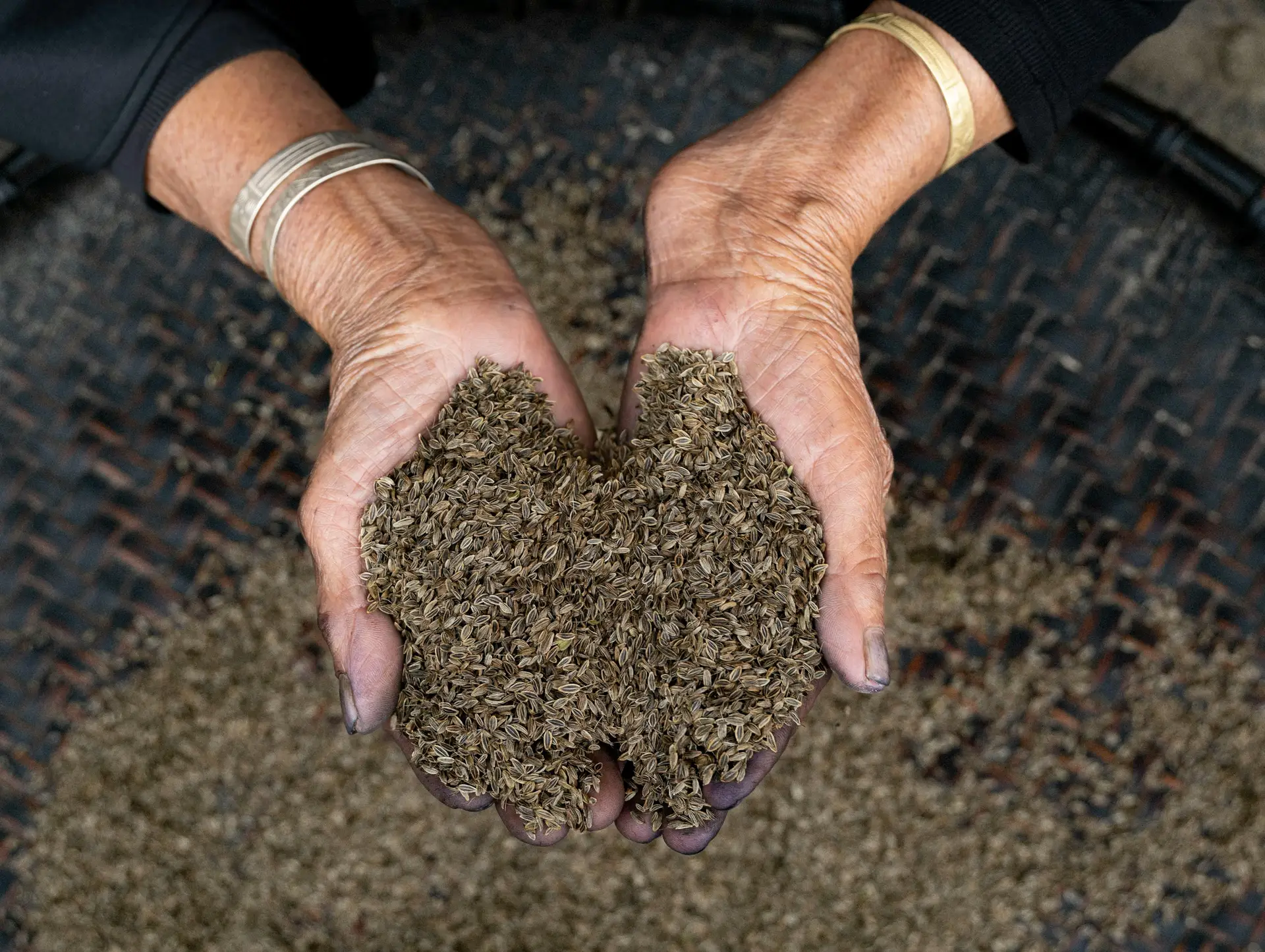 Voyage responsable au Vietnam : écotourisme, initiatives durables, 8 conseils pour un séjour éthique