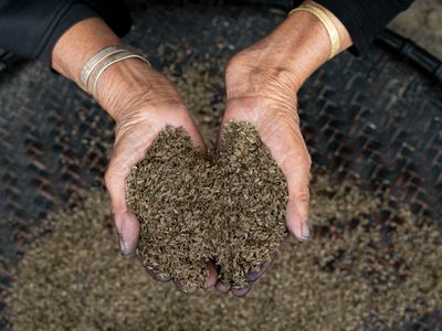 Voyage responsable au Vietnam : écotourisme, initiatives durables, 8 conseils pour un séjour éthique