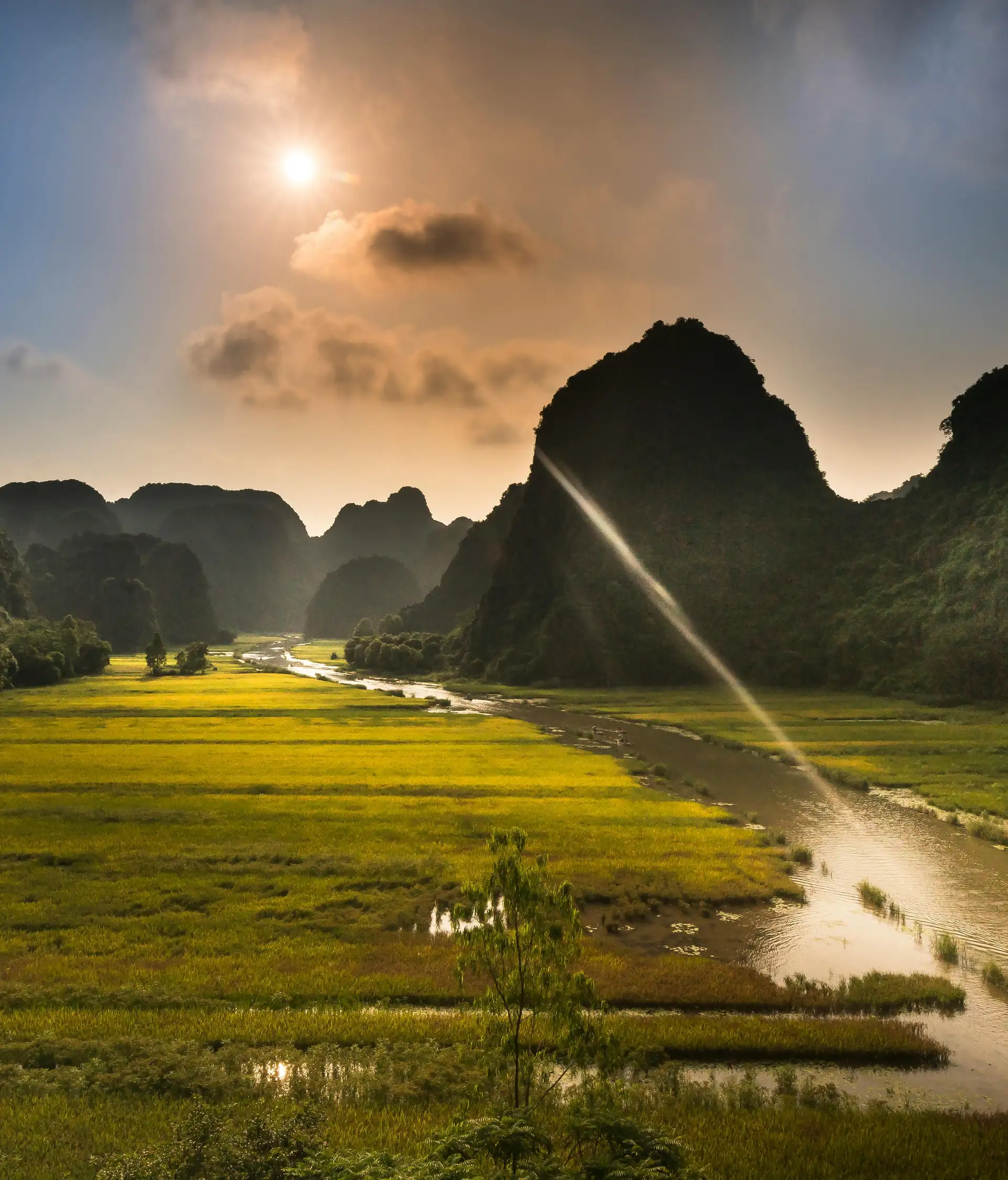 Voyage au Vietnam — Paysage de rizières et formations karstiques dans le Nord Vietnam sous une lumière dorée.
