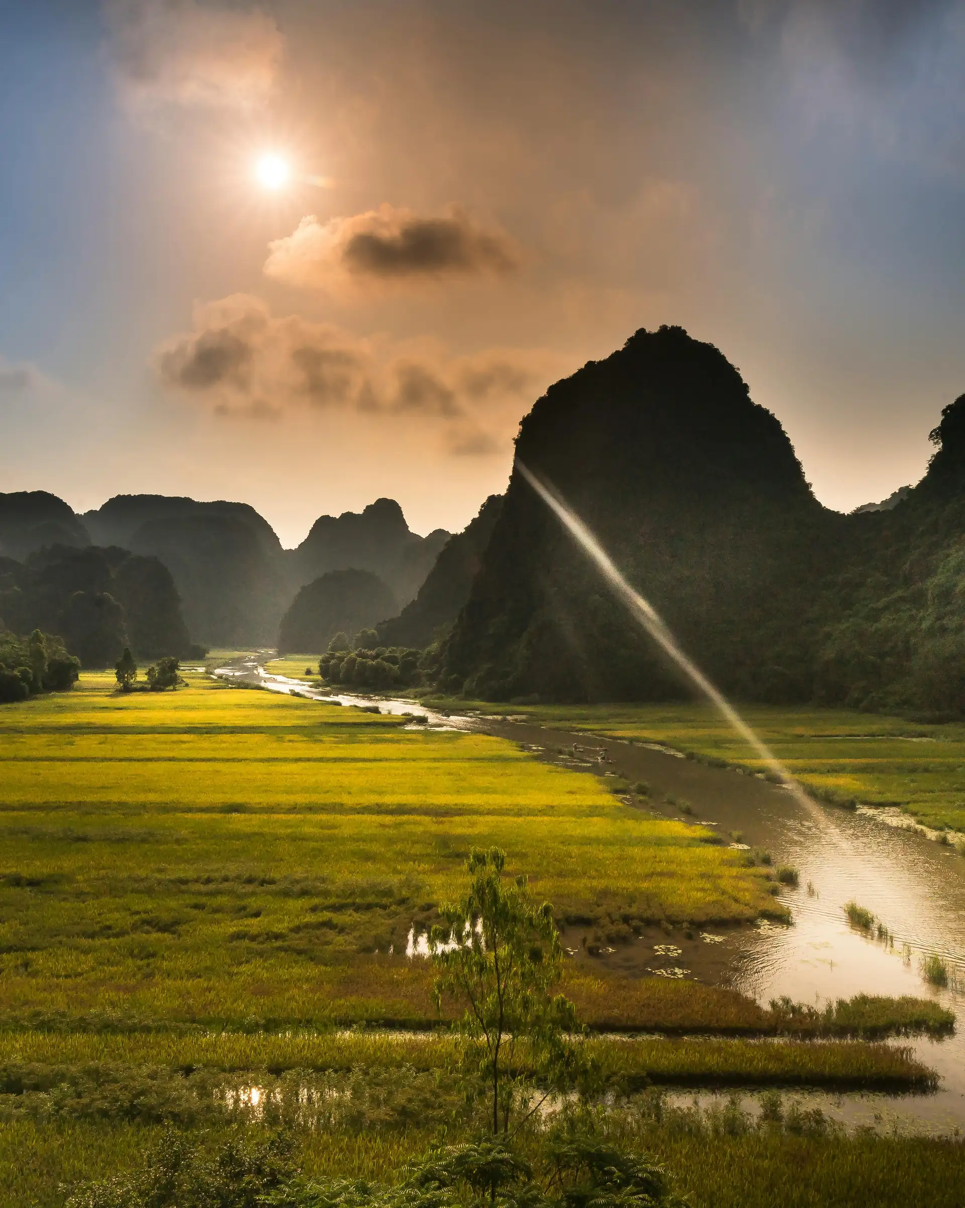 Voyage au Vietnam — Paysage de rizières et formations karstiques dans le Nord Vietnam sous une lumière dorée.