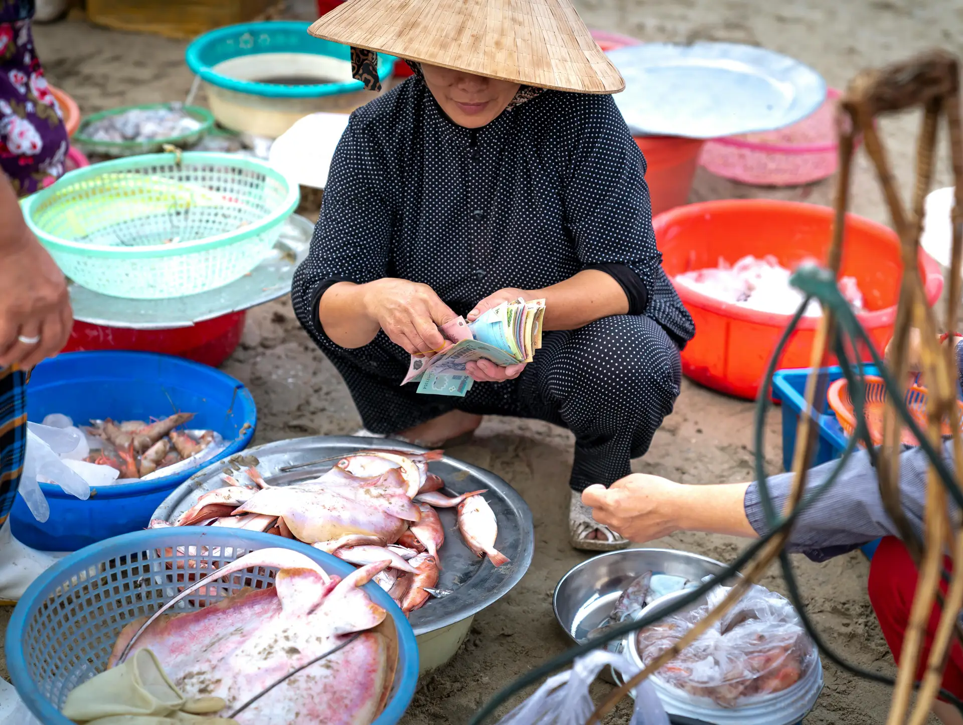 Lexique essentiel pour voyager au Vietnam : les mots et phrases à connaître
