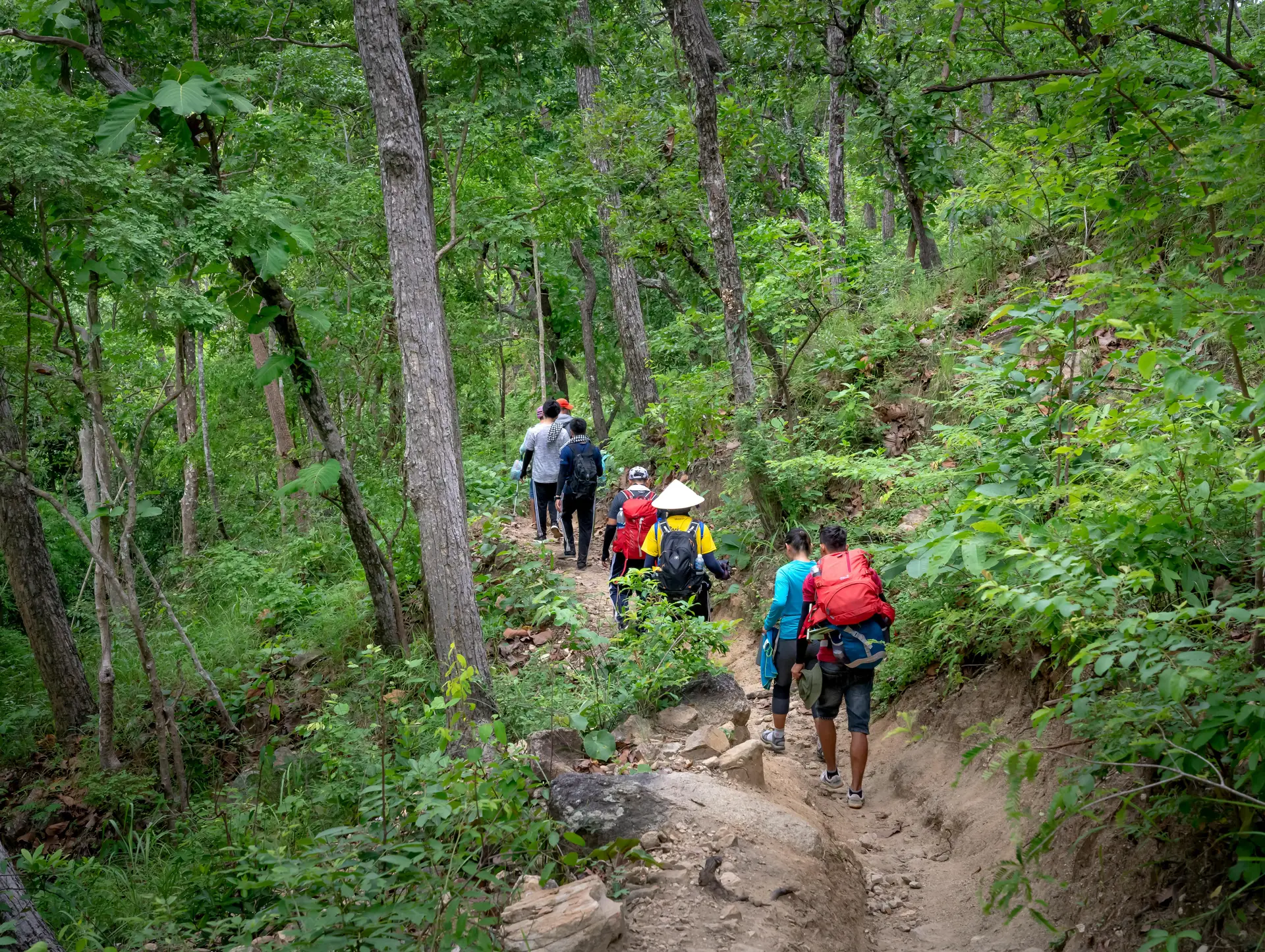 Les Treks Incontournables au Vietnam : Découvrez le TOP 6 des Meilleurs Endroits pour Randonnée et Aventure