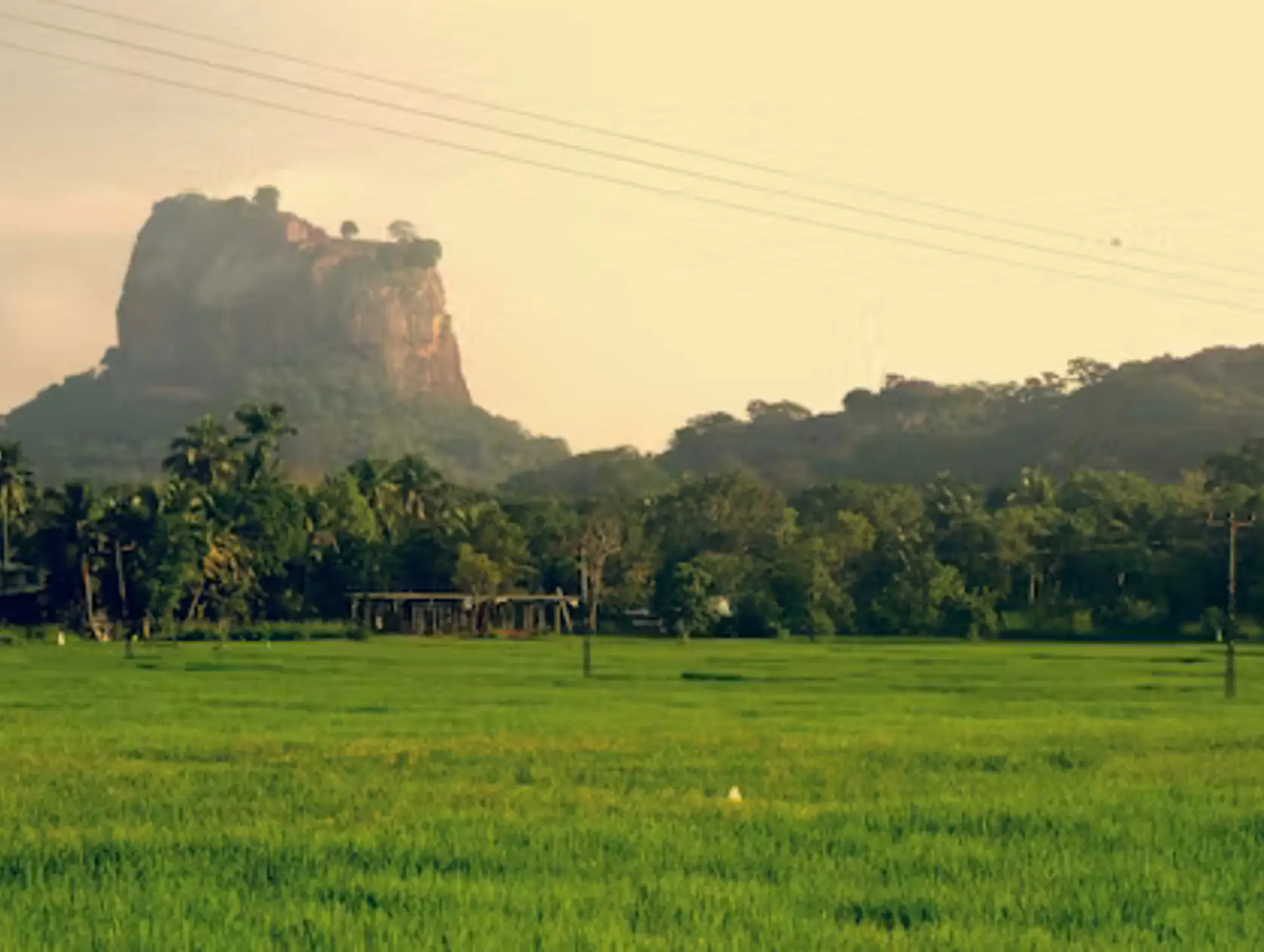 10 raisons de partir au Sri Lanka