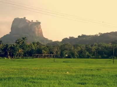 10 raisons de partir au Sri Lanka