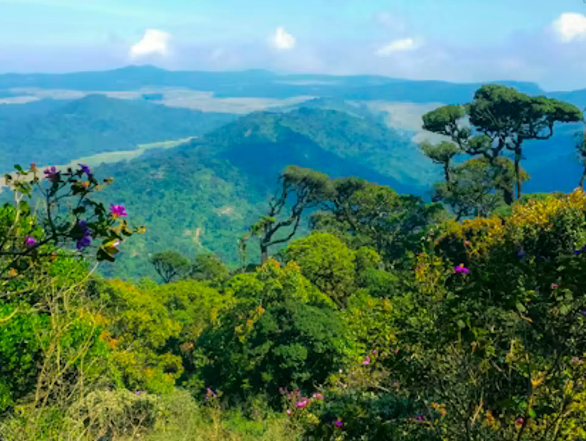 Les plus beaux paysages du Sri Lanka