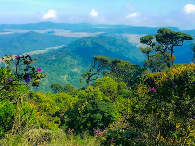 Les plus beaux paysages du Sri Lanka