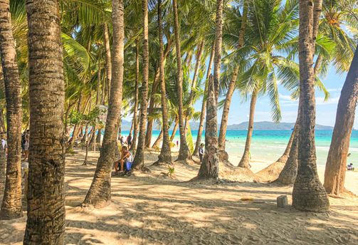 Travel in the Philippines — A quiet, sunny stretch of Boracay's white sand beach framed by rows of palm trees, offering shade and a view of the turquoise ocean.