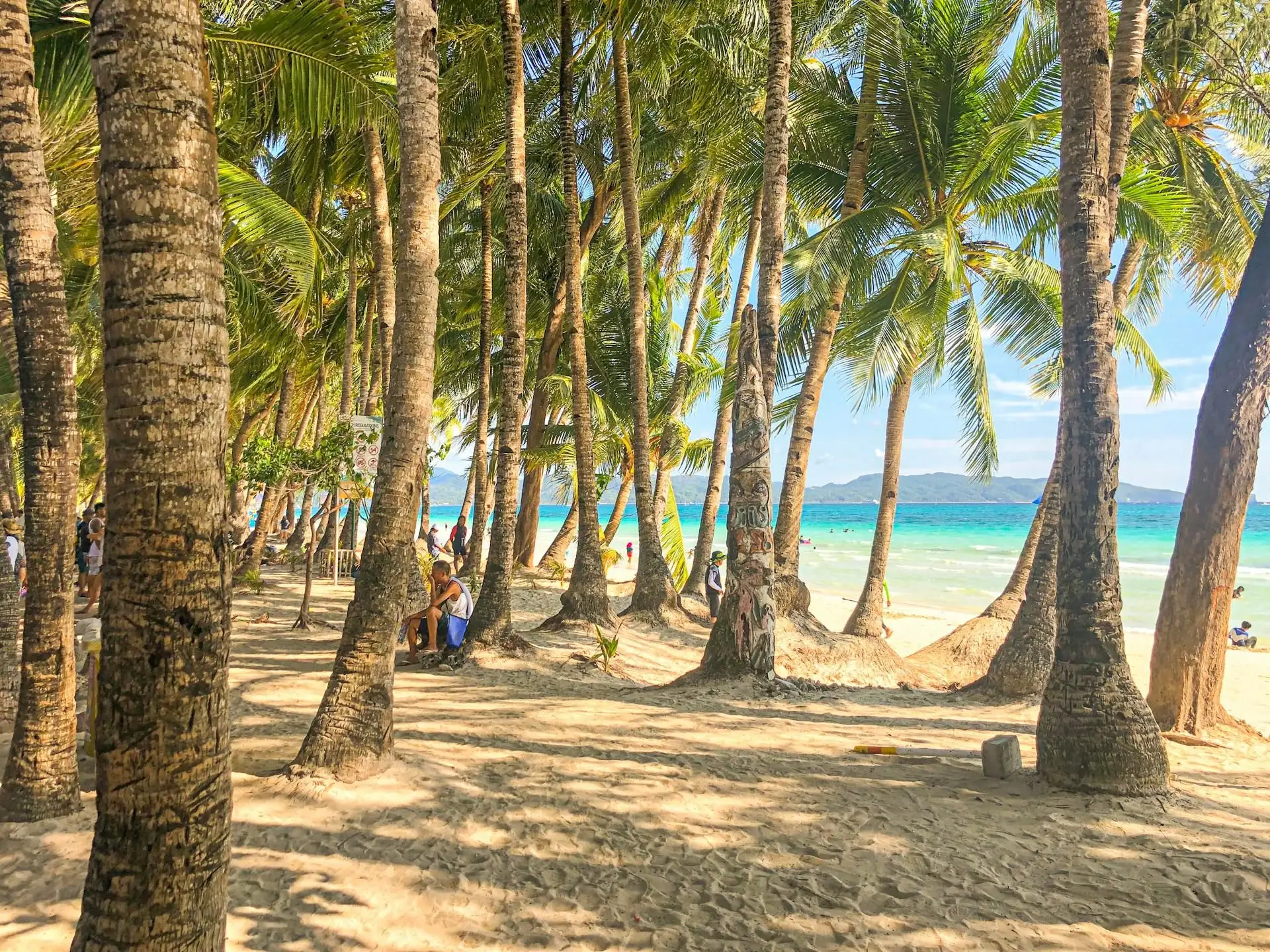 Voyage aux Philippines — Plage de sable blanc bordée de palmiers à Boracay sous un soleil radieux.