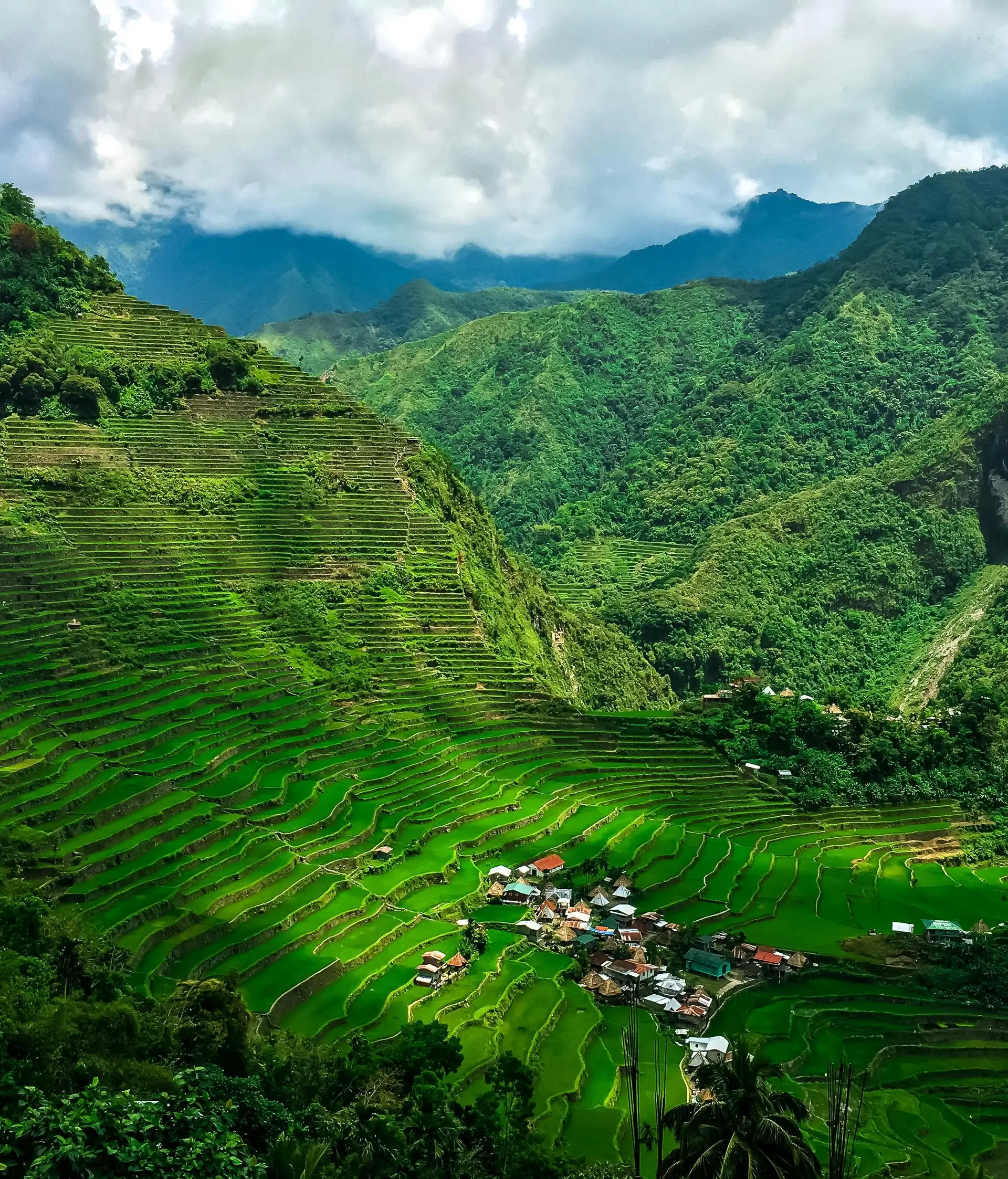 Travel in the Philippines — The iconic, vibrant green rice terraces of Banaue descending steep mountainsides, observed from a high vantage point
