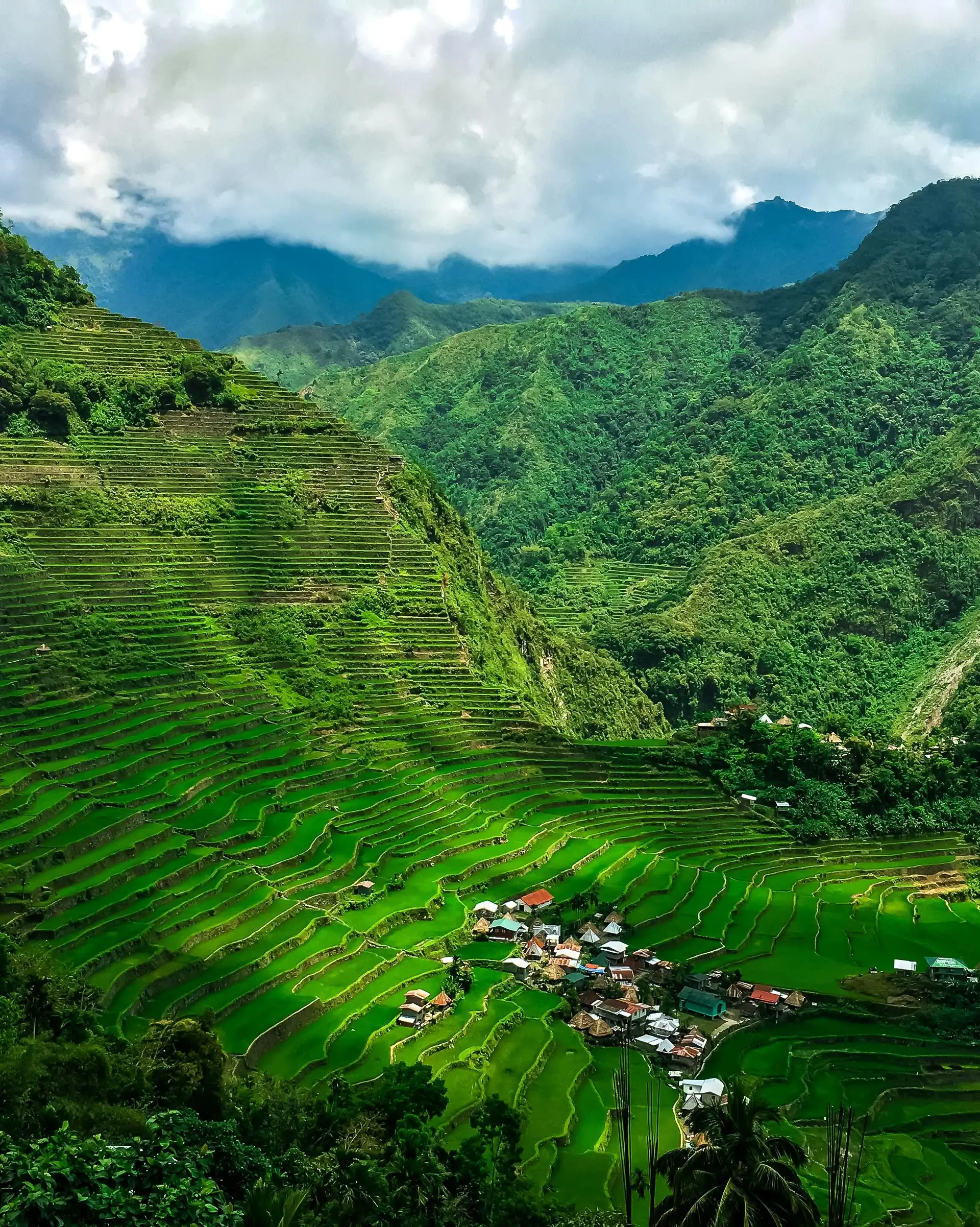 Travel in the Philippines — The iconic, vibrant green rice terraces of Banaue descending steep mountainsides, observed from a high vantage point