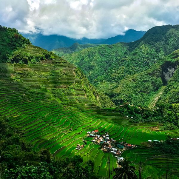 Travel in the Philippines — The iconic, vibrant green rice terraces of Banaue descending steep mountainsides, observed from a high vantage point