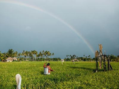 Les Philippines en chiffres