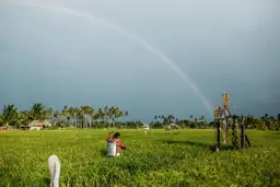 Paysage de rizières verdoyantes sur l'île de Luzon aux Philippines sous un arc-en-ciel après la pluie.