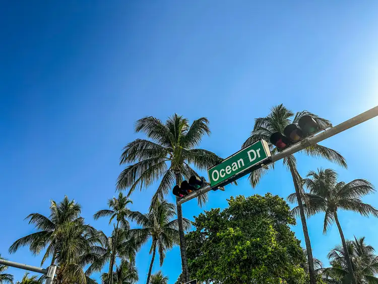 Panneau vert indiquant Ocean Drive fixé à un mât avec de hauts palmiers sous un ciel bleu éclatant à Miami Beach