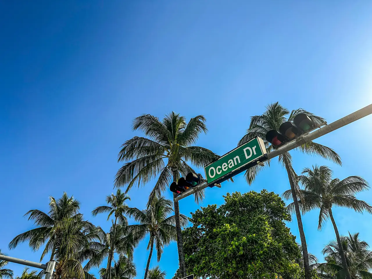 Panneau vert indiquant Ocean Drive fixé à un mât avec de hauts palmiers sous un ciel bleu éclatant à Miami Beach