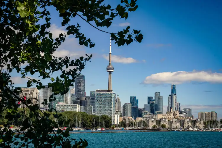 Panorama urbain de Toronto avec la silhouette de la tour CN et les gratte-ciel encadrés par des branches d'arbres au bord de l'eau
