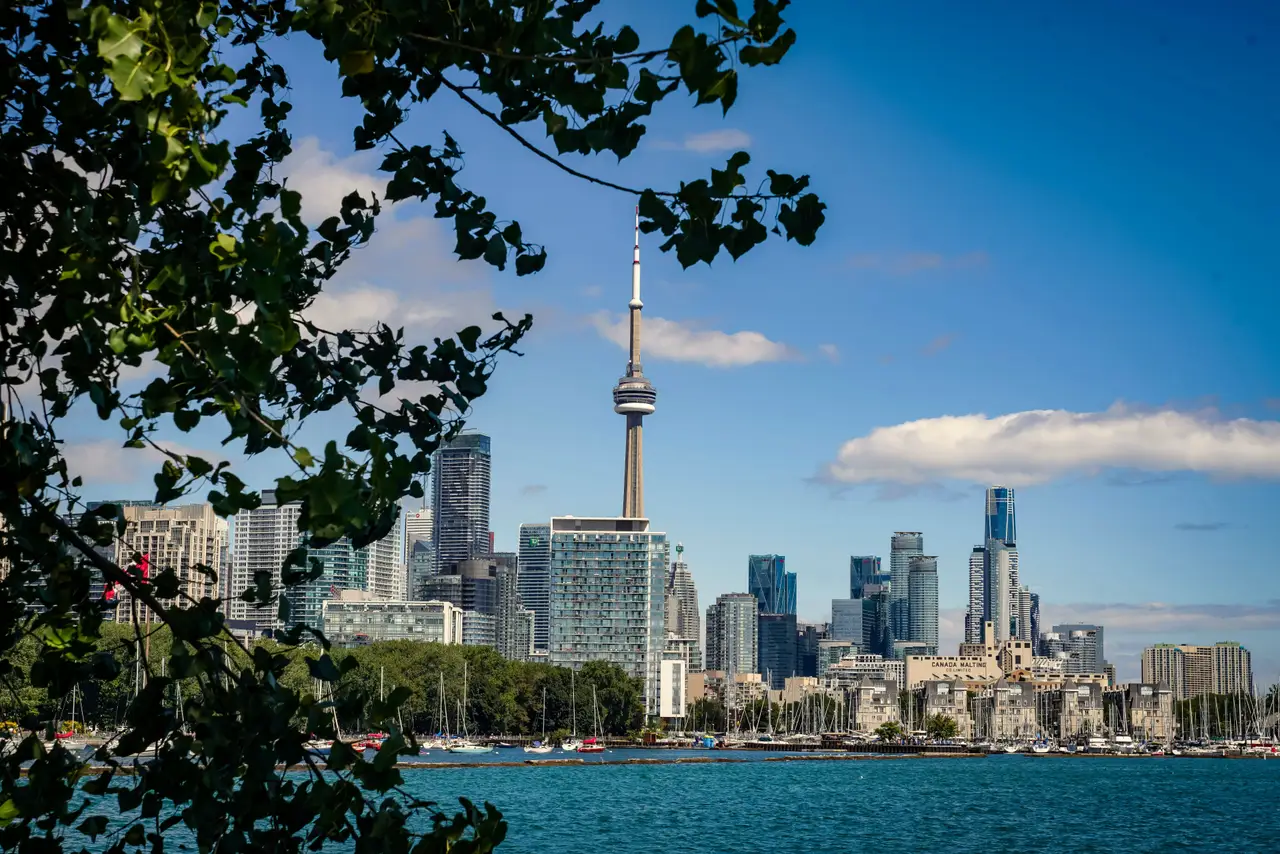 Panorama urbain de Toronto avec la silhouette de la tour CN et les gratte-ciel encadrés par des branches d'arbres au bord de l'eau