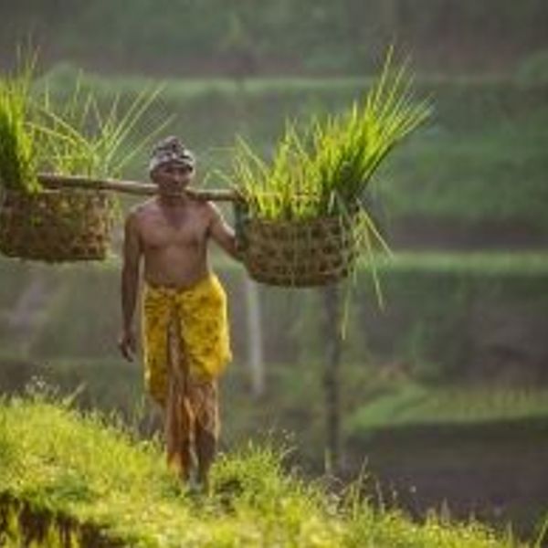 enjoy-relaxing-weekend-in-bali