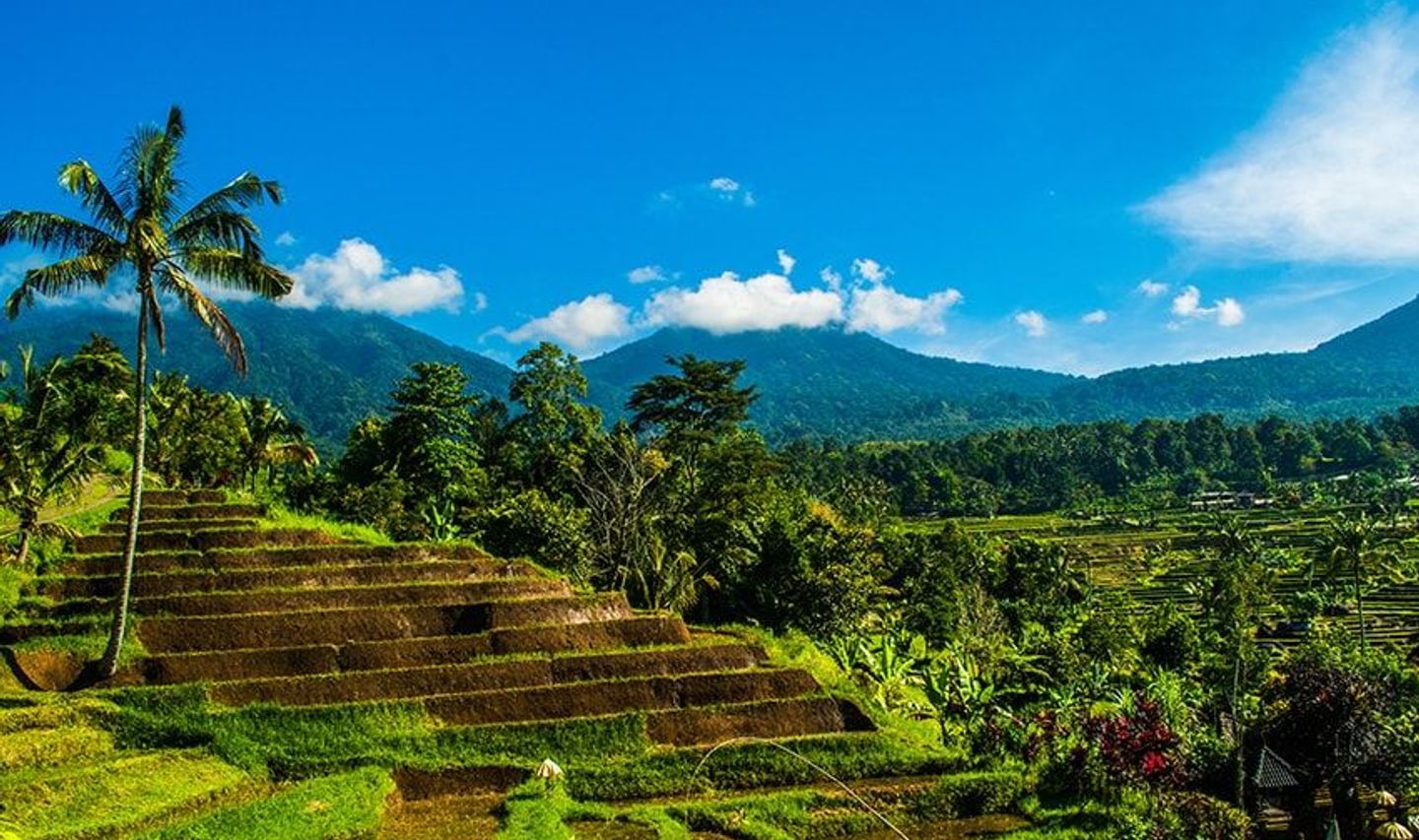 Travel in Asia - Terraced rice fields and blue skies on a sunny day in Bali