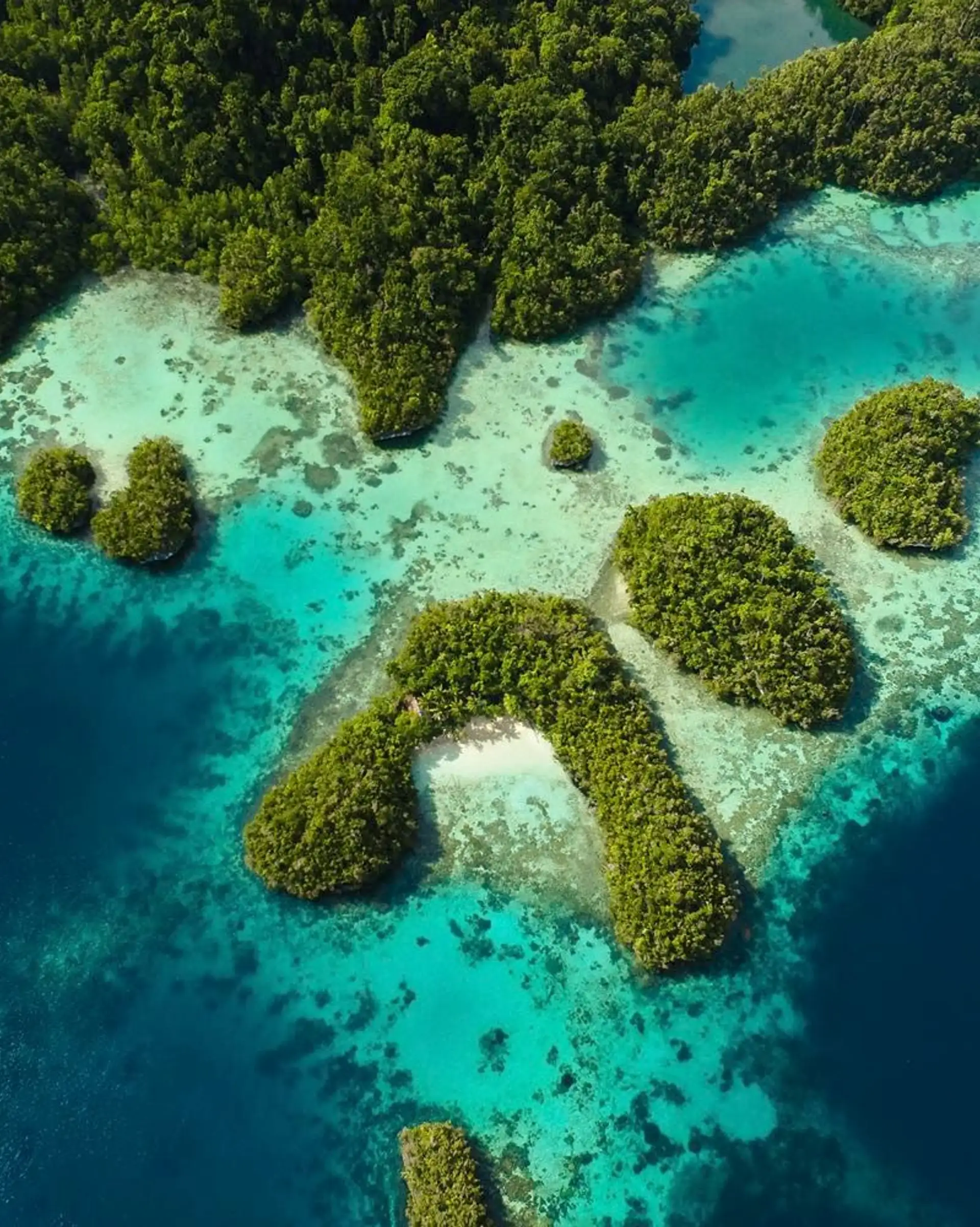 croisiere-raja-ampat
