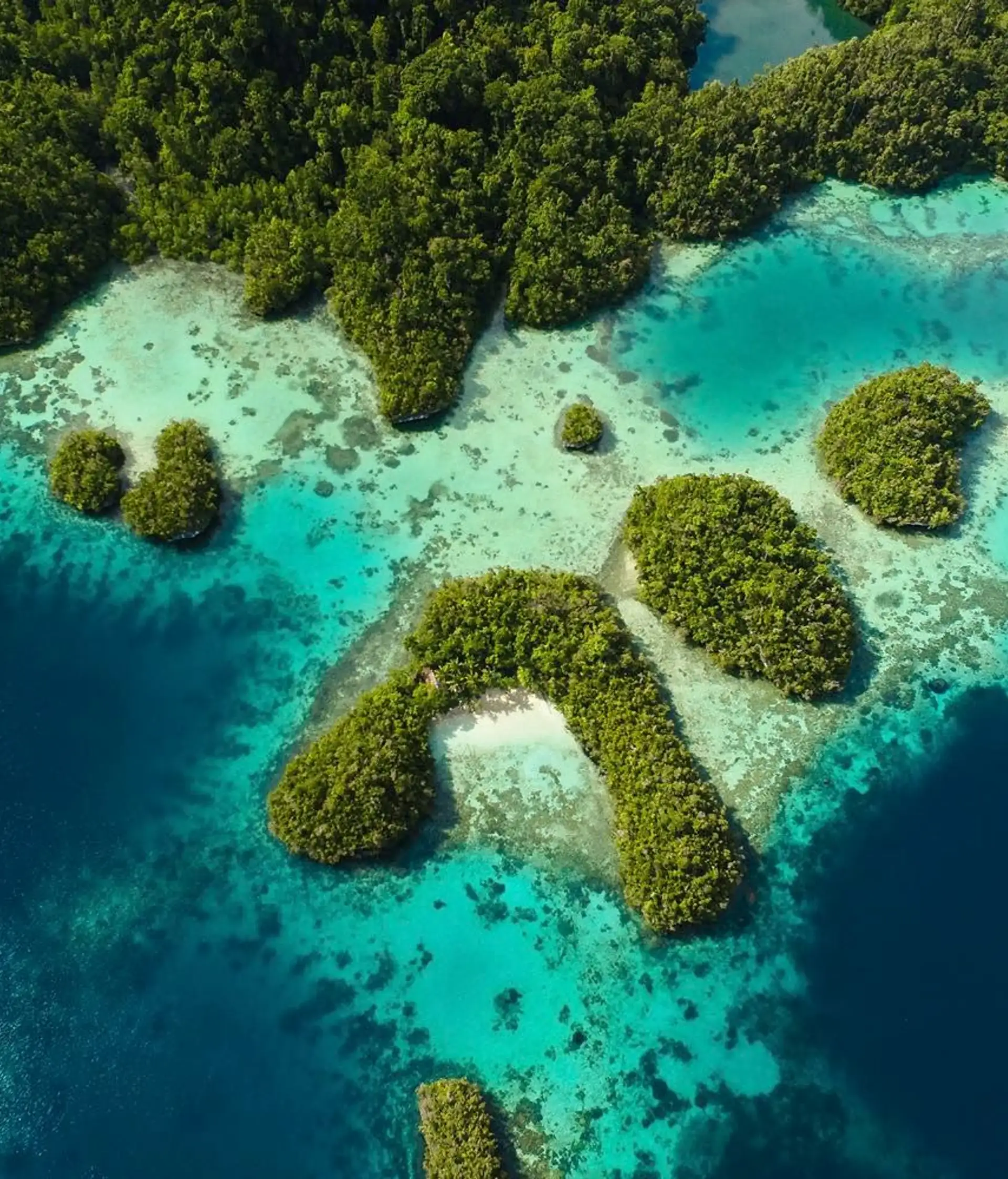 croisiere-raja-ampat