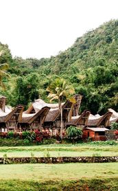 bali-ile-benie-dieux-pays-toraja