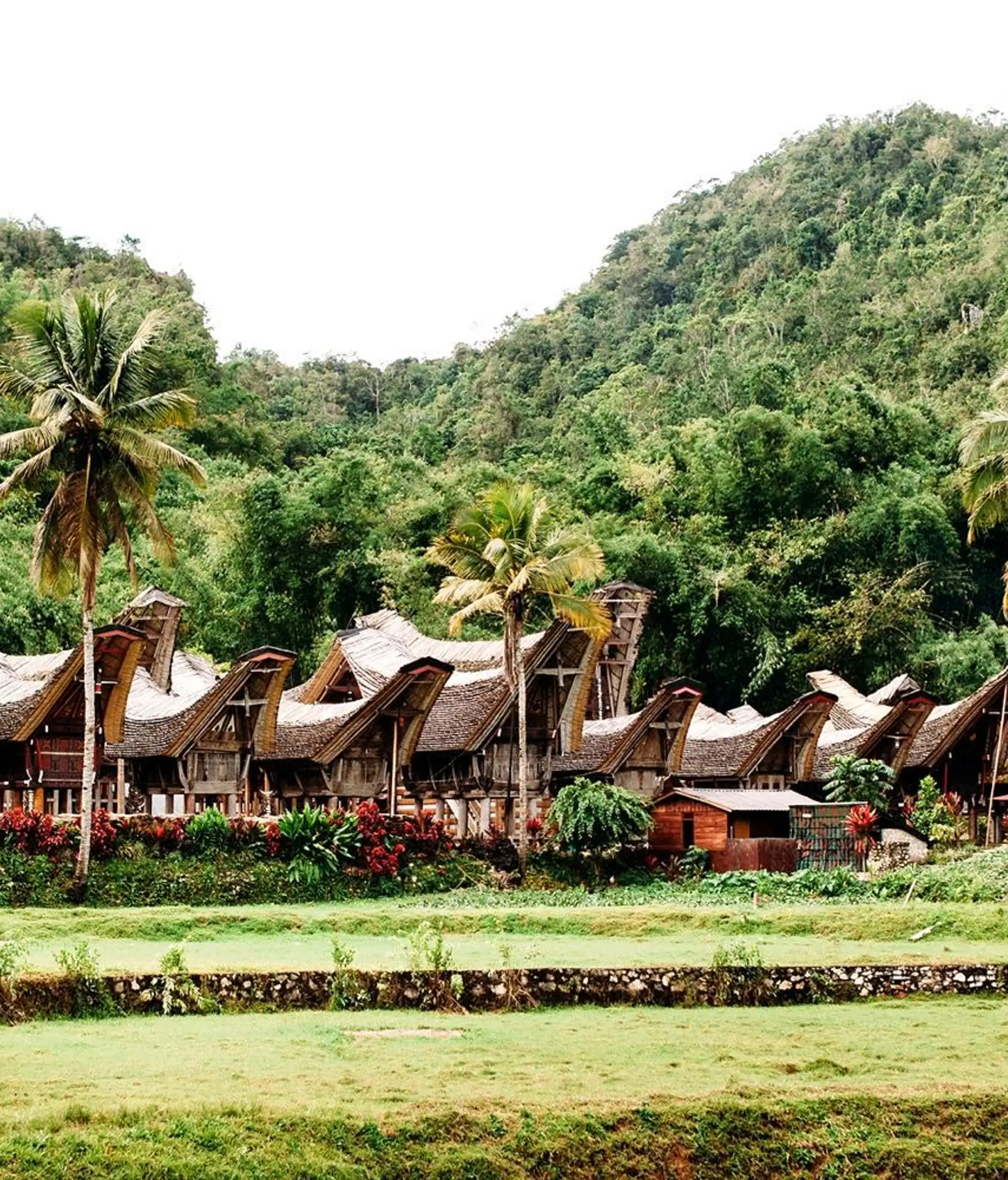 bali-ile-benie-dieux-pays-toraja