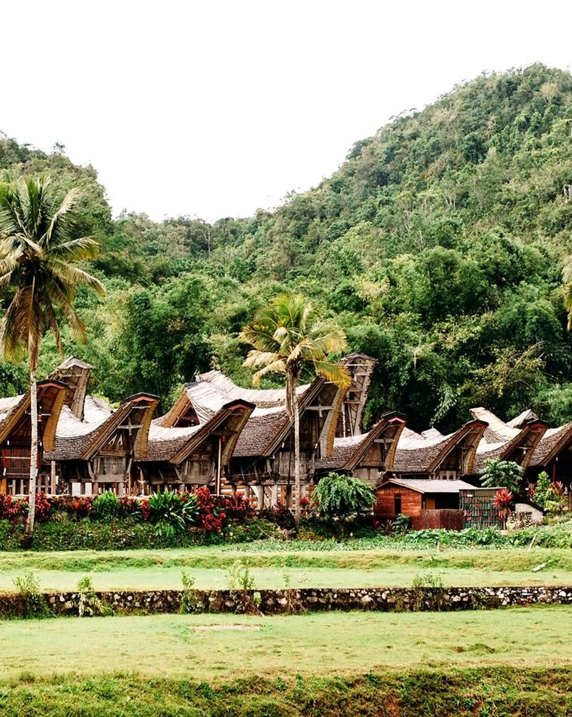 bali-ile-benie-dieux-pays-toraja