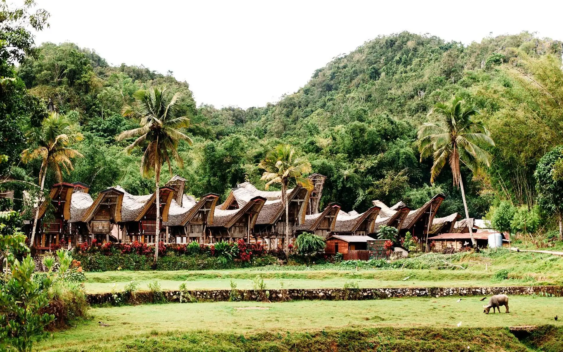 bali-ile-benie-dieux-pays-toraja