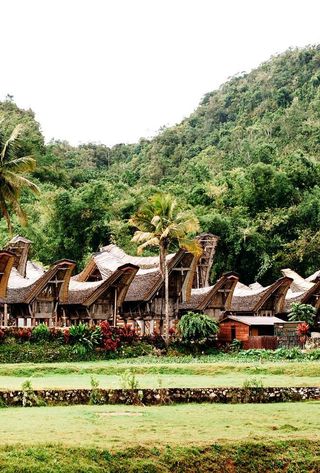 bali-ile-benie-dieux-pays-toraja