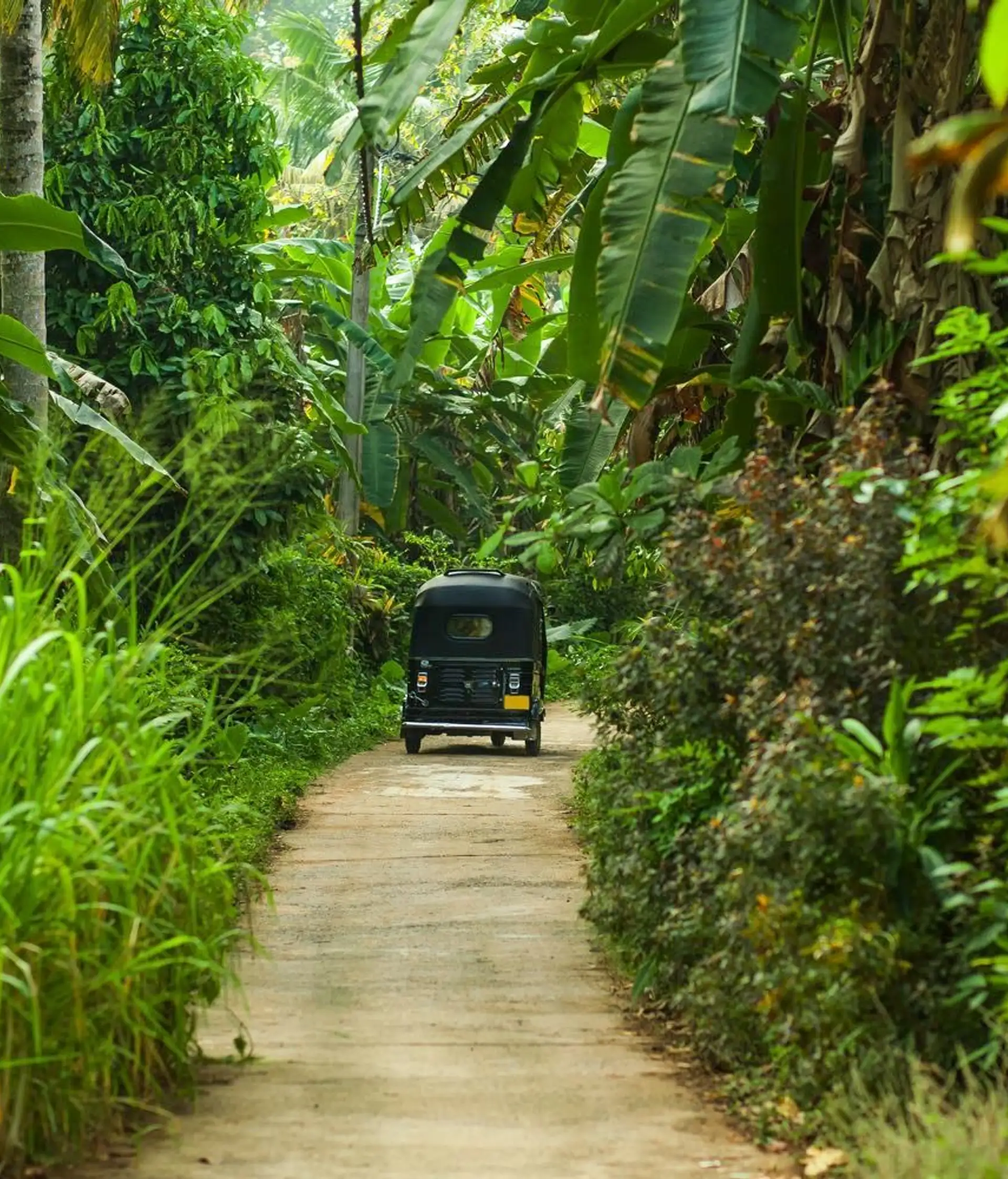 inde-du-sud-au-sri-lanka