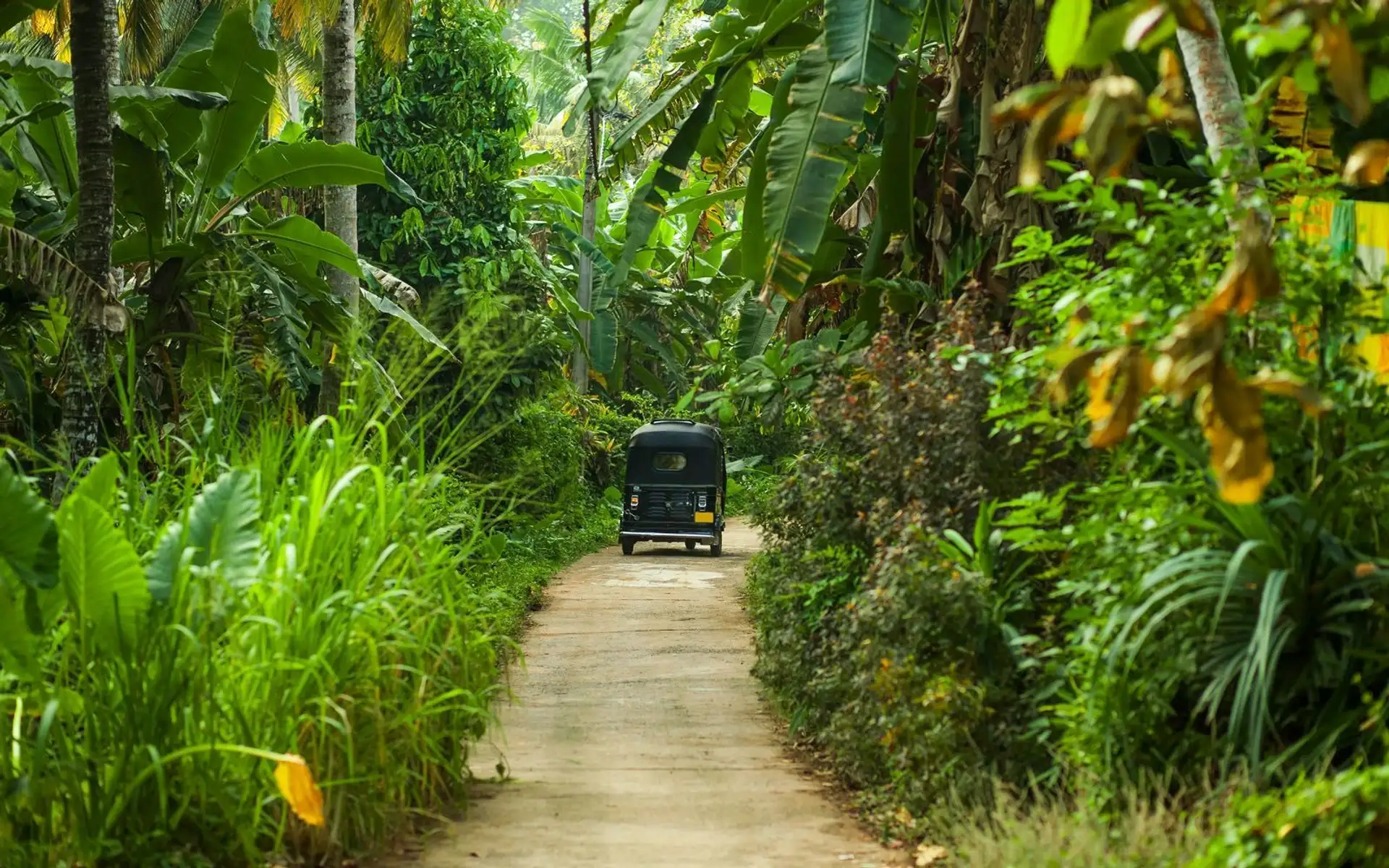 inde-du-sud-au-sri-lanka