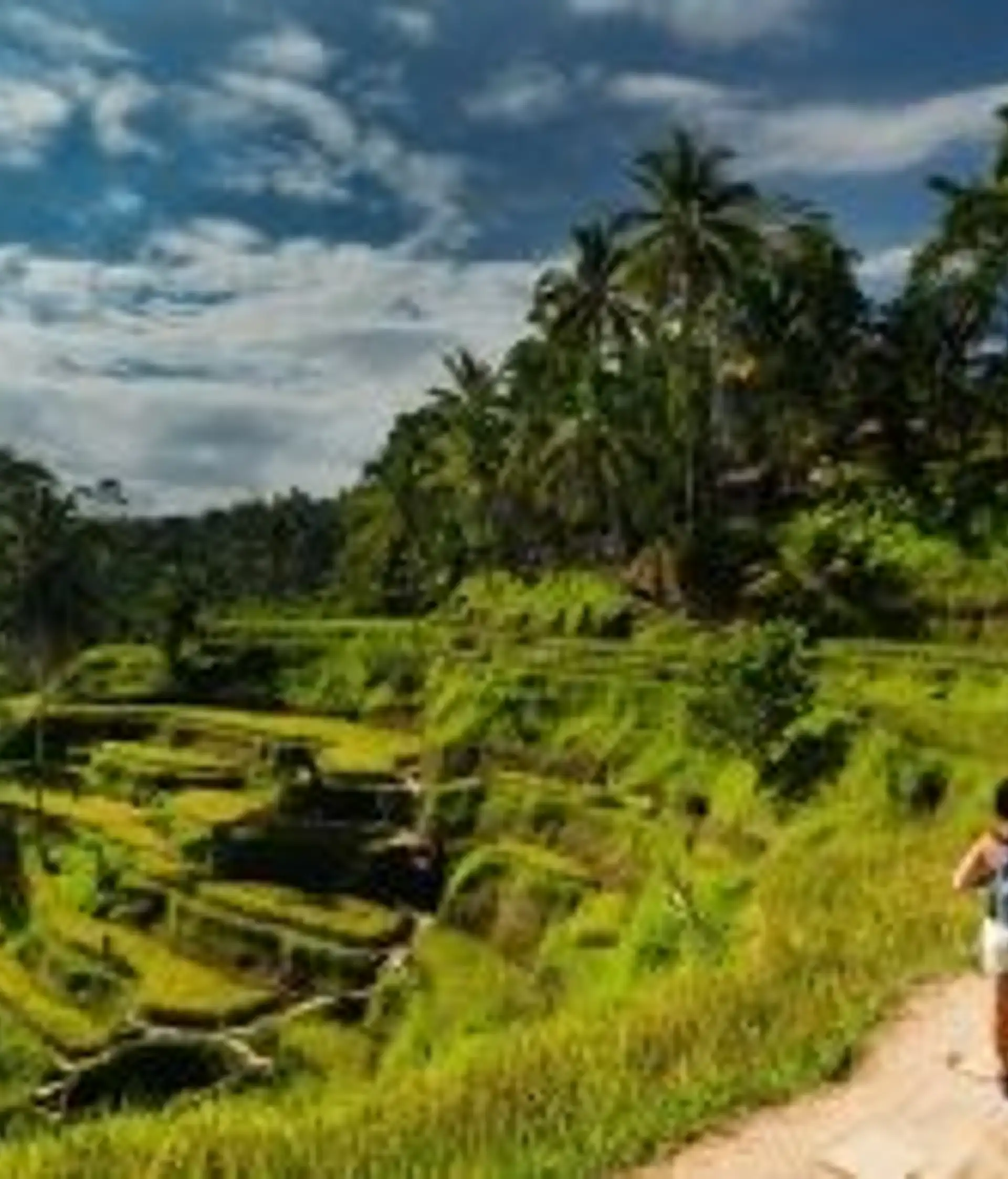 Travel in Asia - Person walking amongst rice fields in Ubud, Bali