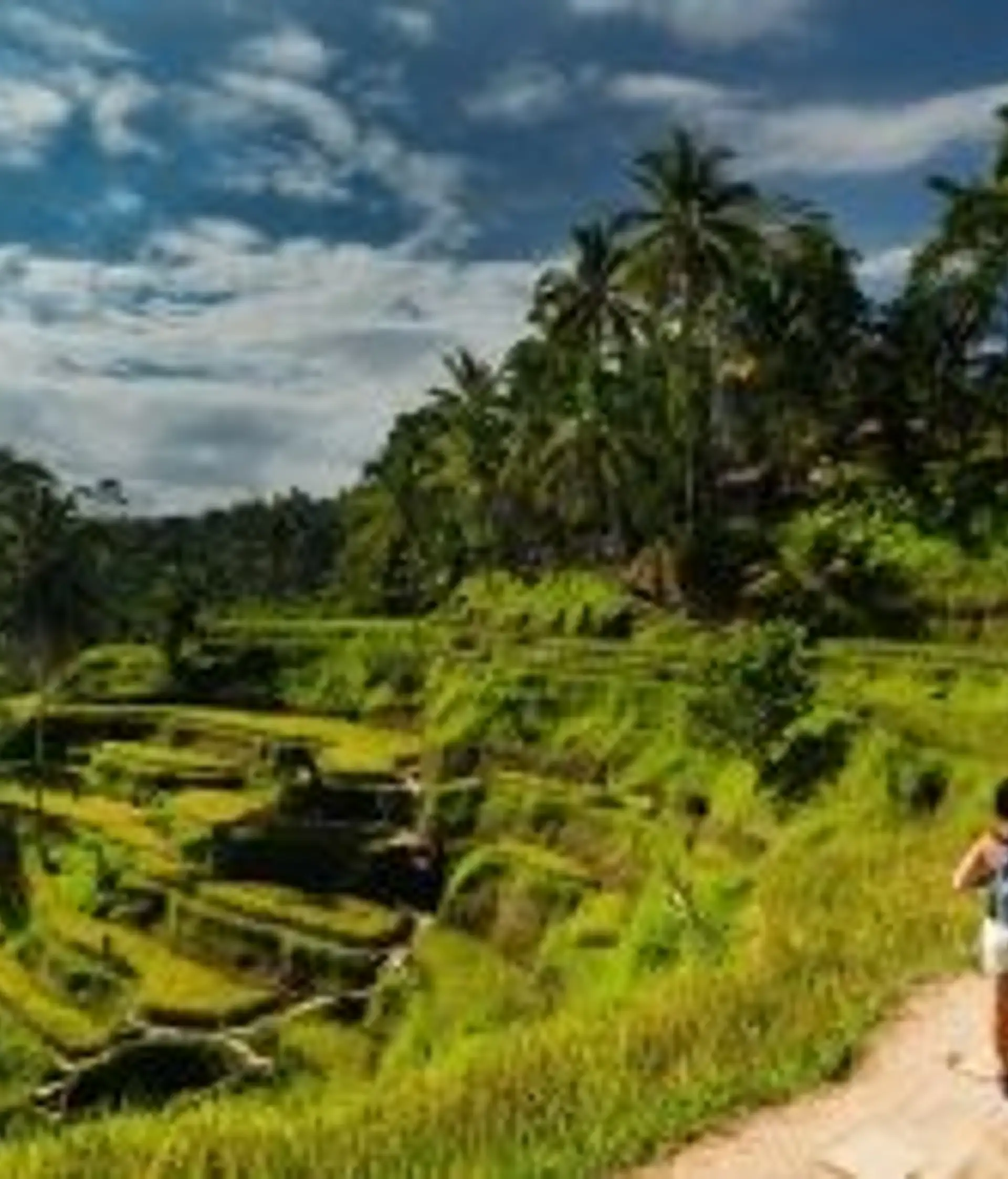 Travel in Asia - Person walking amongst rice fields in Ubud, Bali