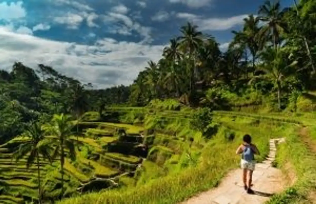 Travel in Asia - Person walking amongst rice fields in Ubud, Bali