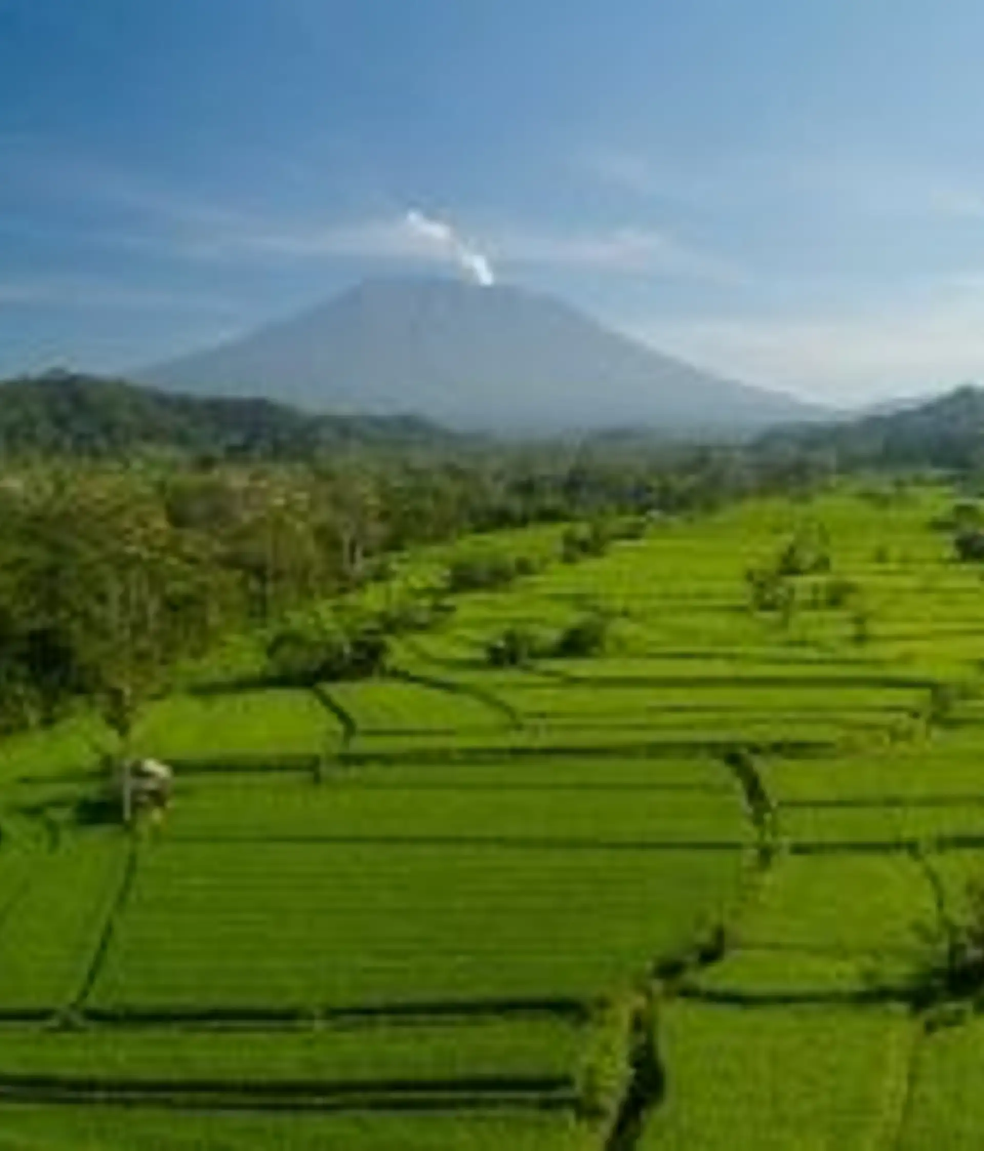 Travel in Asia - Lush green rice fields of Sideman, Bali