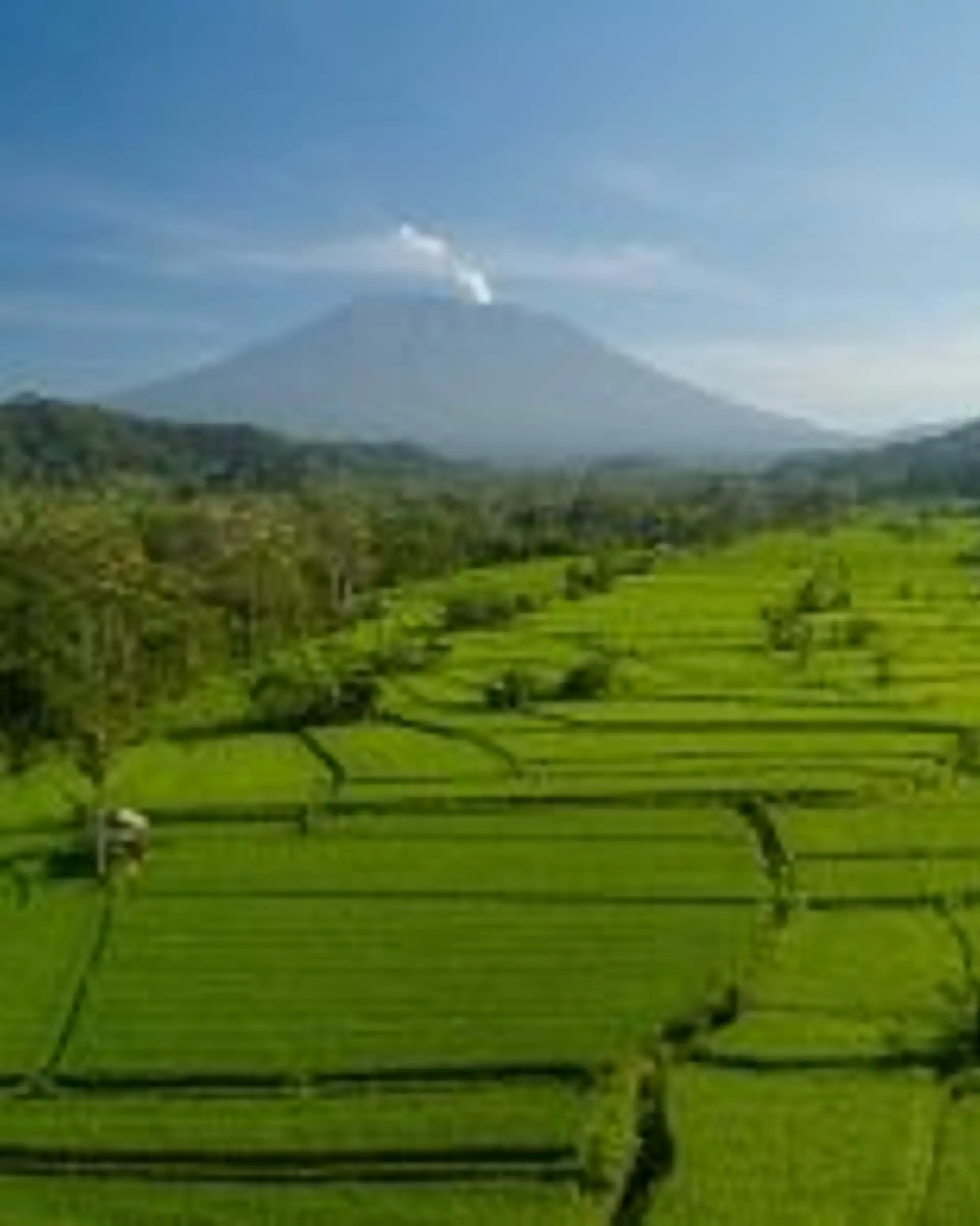 Travel in Asia - Lush green rice fields of Sideman, Bali