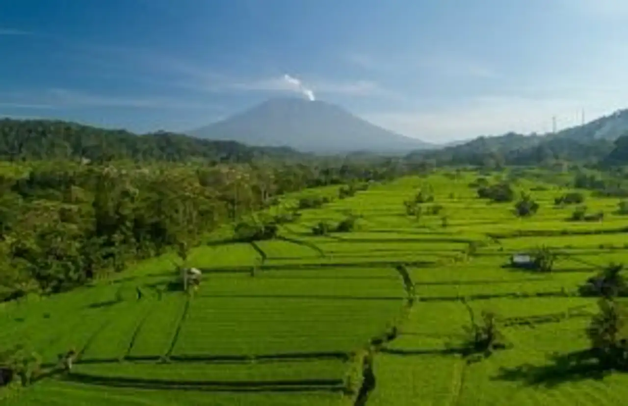 Travel in Asia - Lush green rice fields of Sideman, Bali