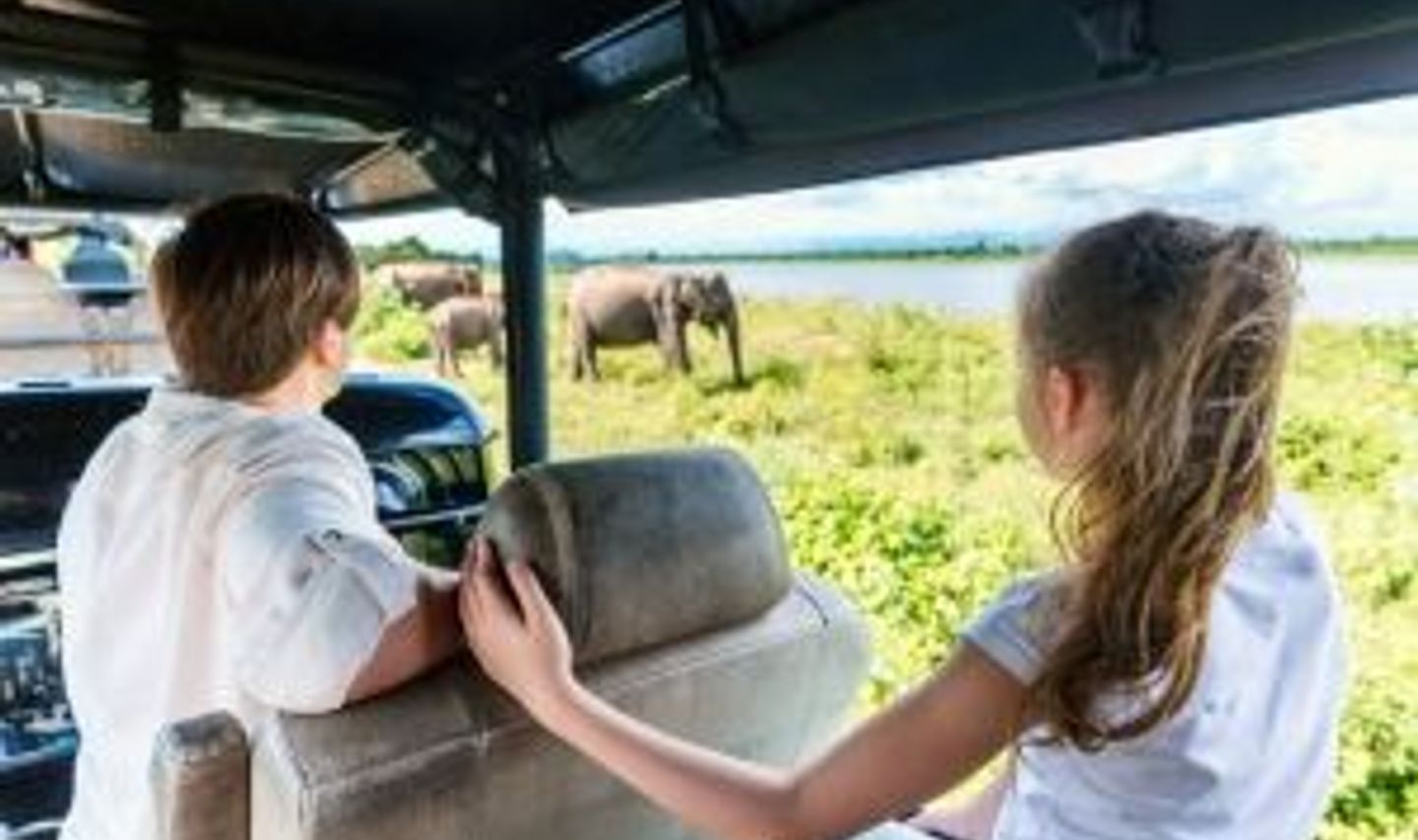 Travel in Asia - Two young siblings excitedly watch elephants in a natural setting from a vehicle in Sri Lanka