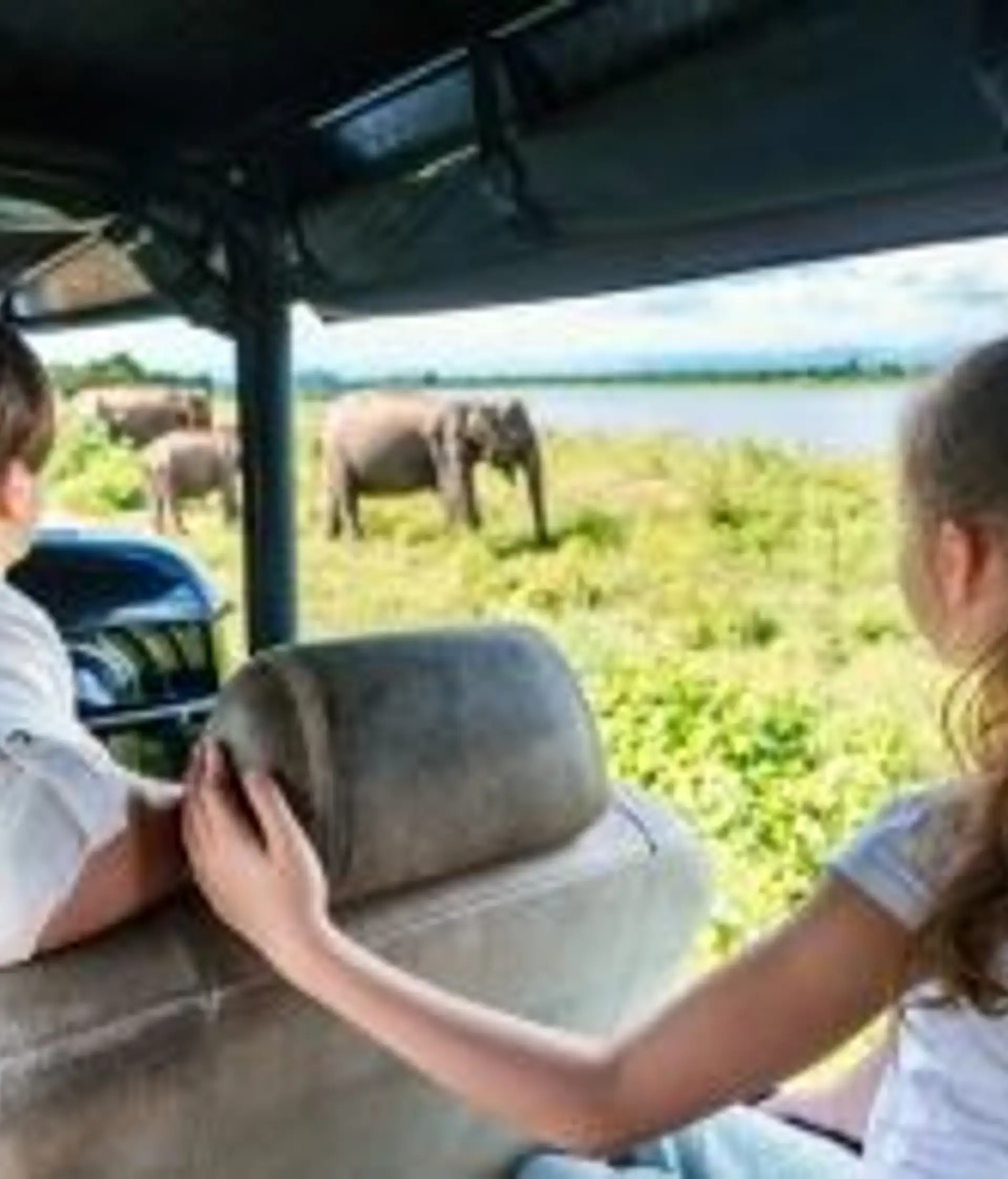 Travel in Asia - Two young siblings excitedly watch elephants in a natural setting from a vehicle in Sri Lanka
