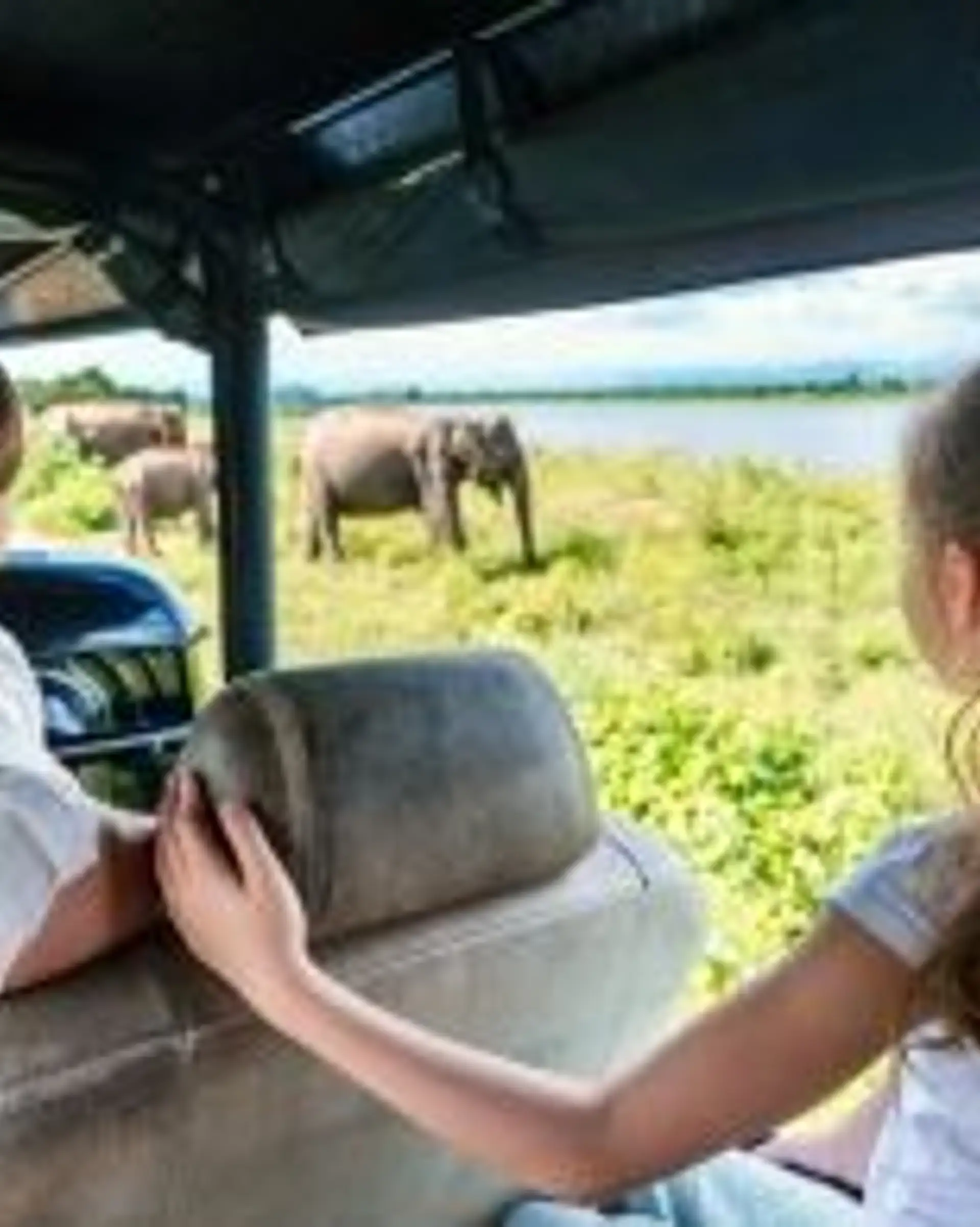 Travel in Asia - Two young siblings excitedly watch elephants in a natural setting from a vehicle in Sri Lanka