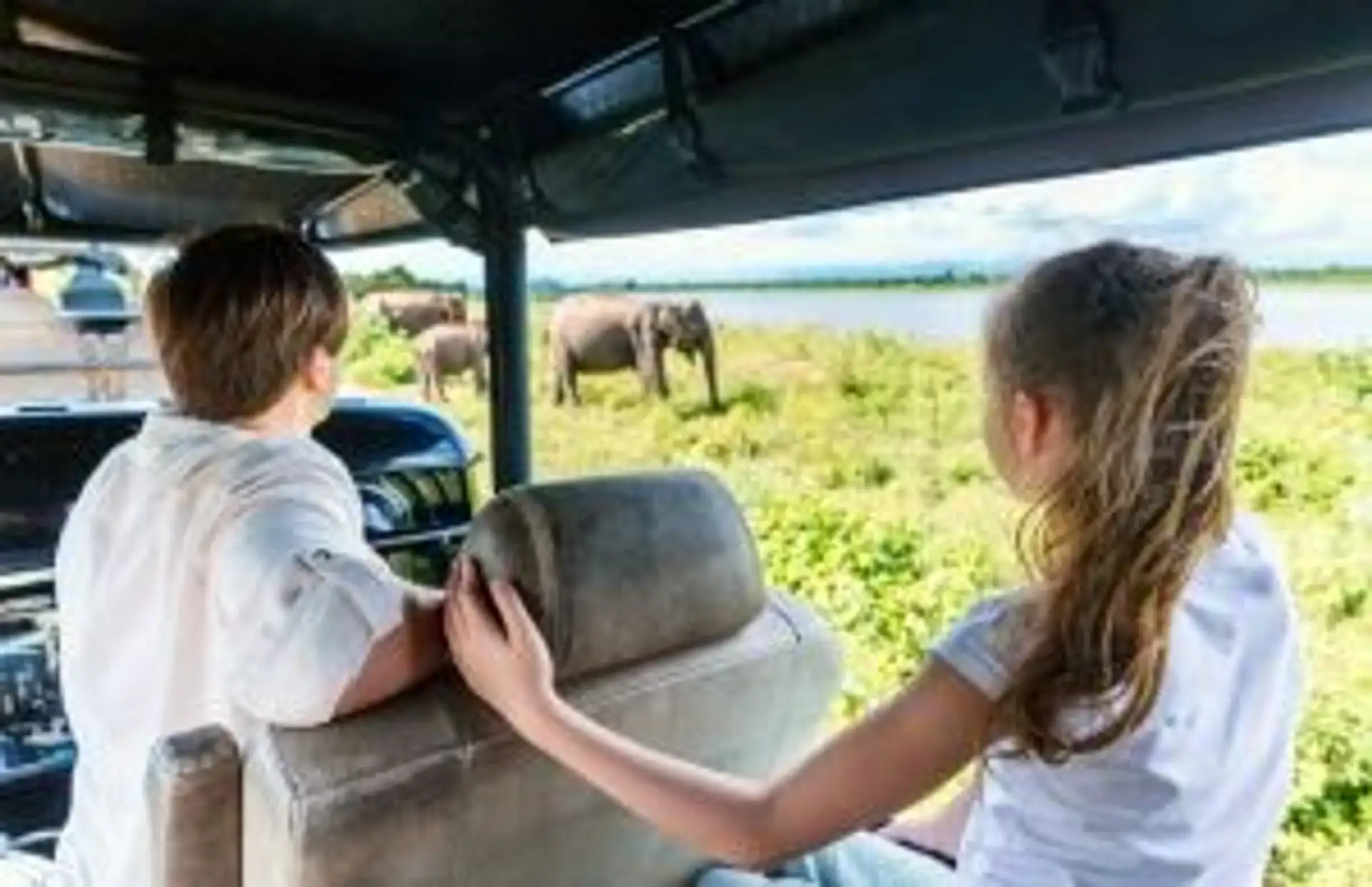 Travel in Asia - Two young siblings excitedly watch elephants in a natural setting from a vehicle in Sri Lanka