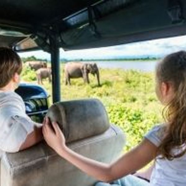 Travel in Asia - Two young siblings excitedly watch elephants in a natural setting from a vehicle in Sri Lanka