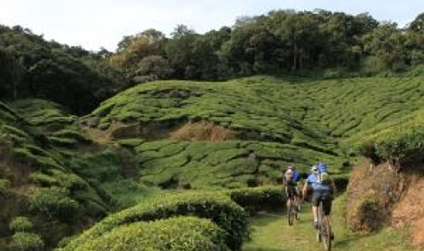 cycle-through-kerala