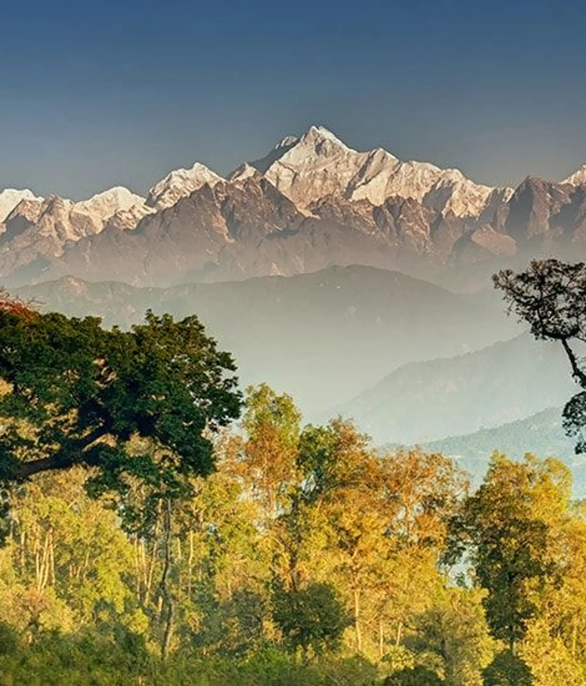 Travel in Asia - Snow-capped Himalayan mountains rising above forested hills in Nepal
