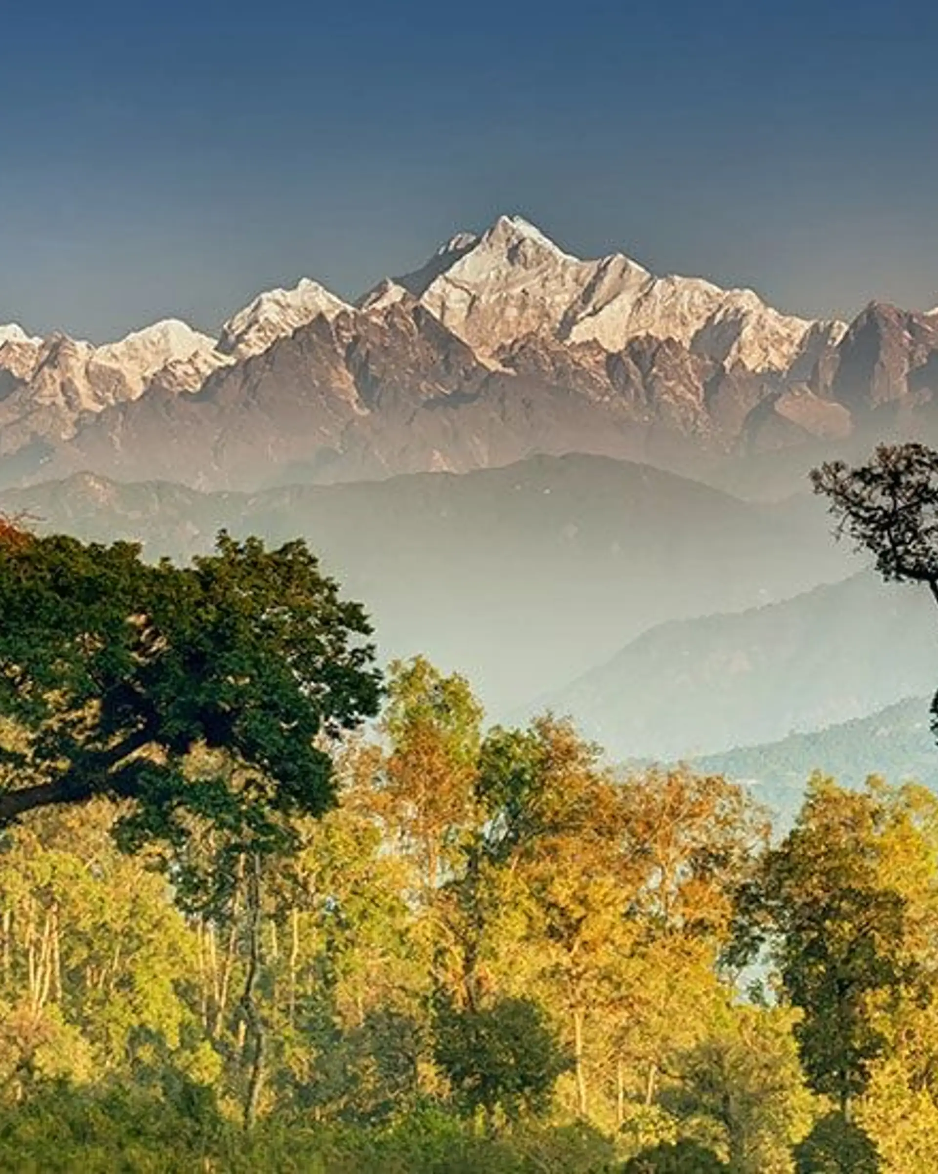 Travel in Asia - Snow-capped Himalayan mountains rising above forested hills in Nepal