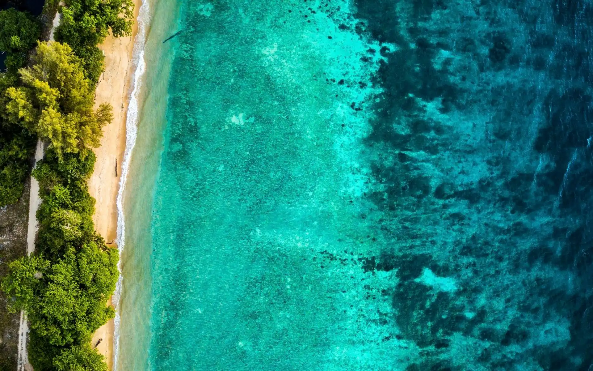 ete-famille-malaisie