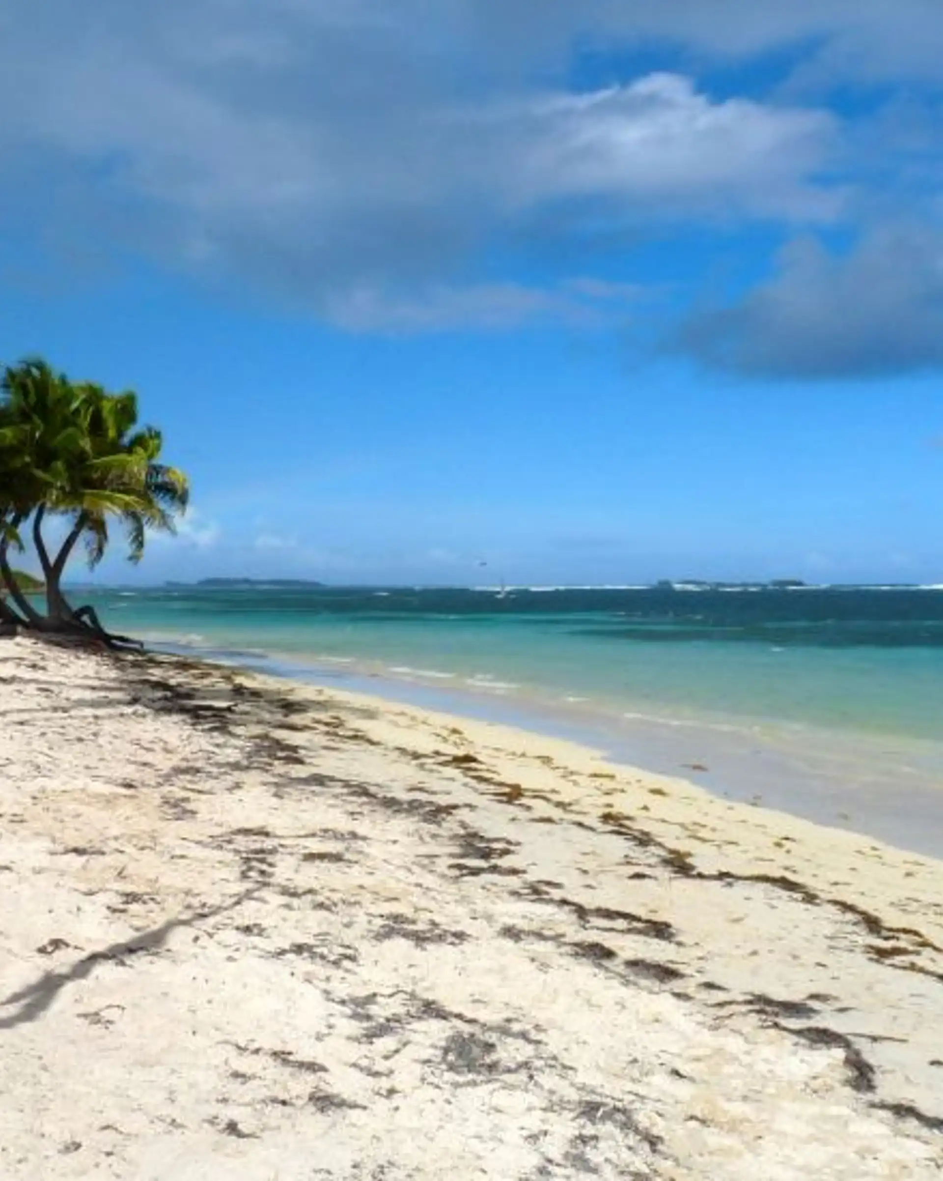 martinique-sur-la-route-du-rhum