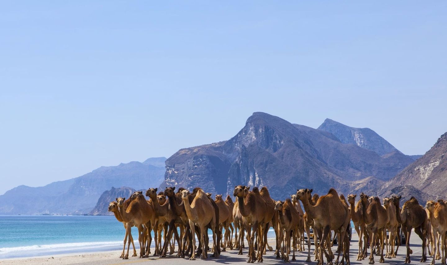 mascate-dhofar-oman