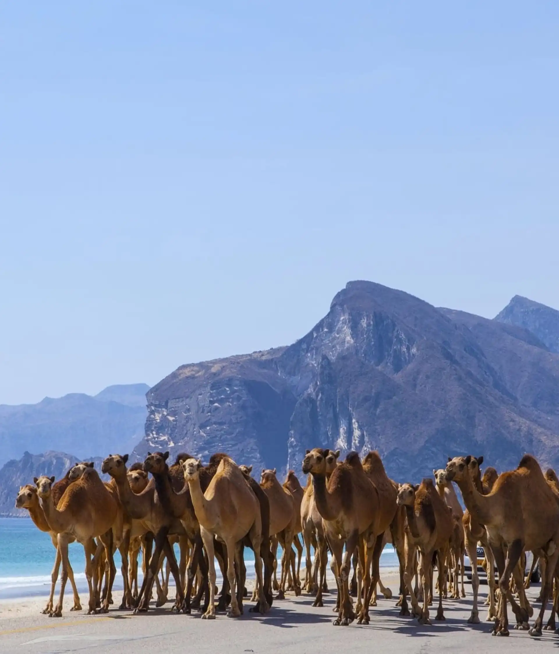 mascate-dhofar-oman